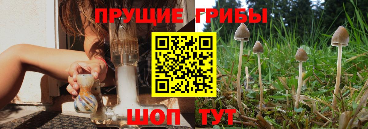 Усть-Илимск  Галлюциногенные грибы MAGIC MUSHROOMS  где найти наркотики  Вход с VPN 
